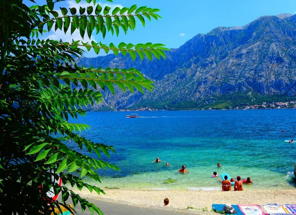 Bay Of Kotor View Apartment With Pool เพรอชานิ ภายนอก รูปภาพ
